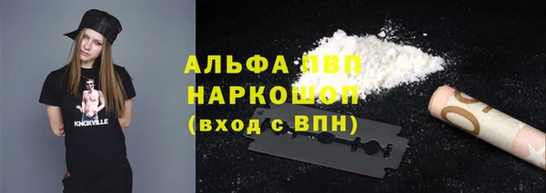 стафф Зеленокумск
