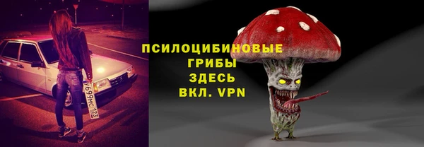 мяу мяу мука Инсар