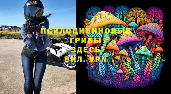 эйфоретик Инта