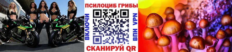 Купить где  Верхний Уфалей  Псилоцибиновые грибы MAGIC MUSHROOMS 